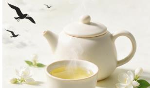 清新的海边茉莉花茶园背景